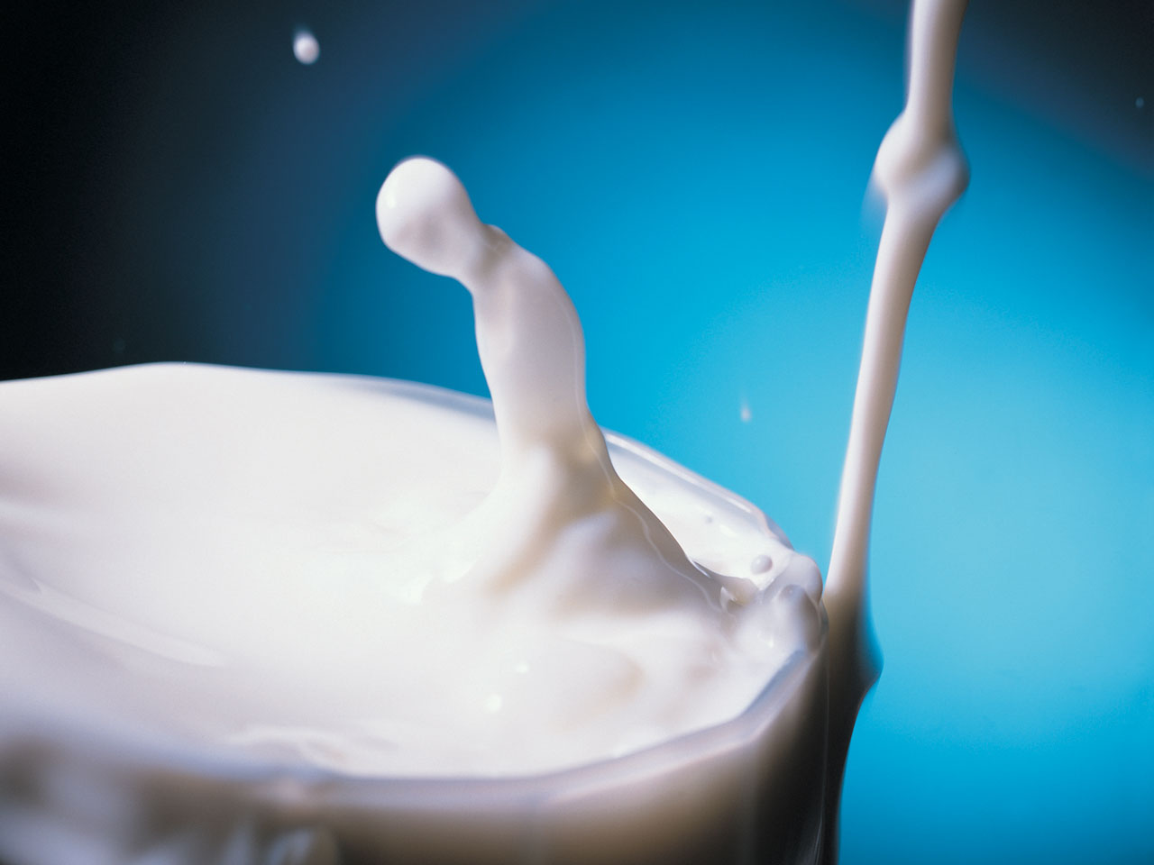 Kayıt Dışı Süt Üretimi Sektöre Zarar Veriyor
