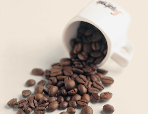 Kesintisiz kaliteli kahve keyfi için; Metropolitan Gıda’dan Segafrado