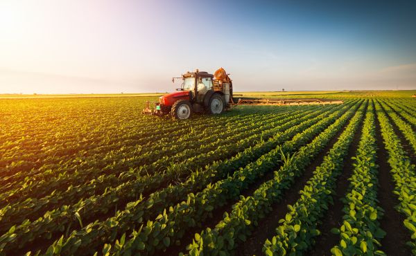 Tarım-ÜFE aylık %3,03 artış sağladı